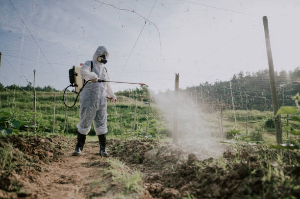 Best Best Pest Control Companies  in Tillamook, OR