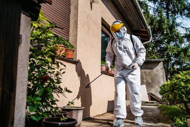 Best Cockroach Control Services  in Tillamook, OR